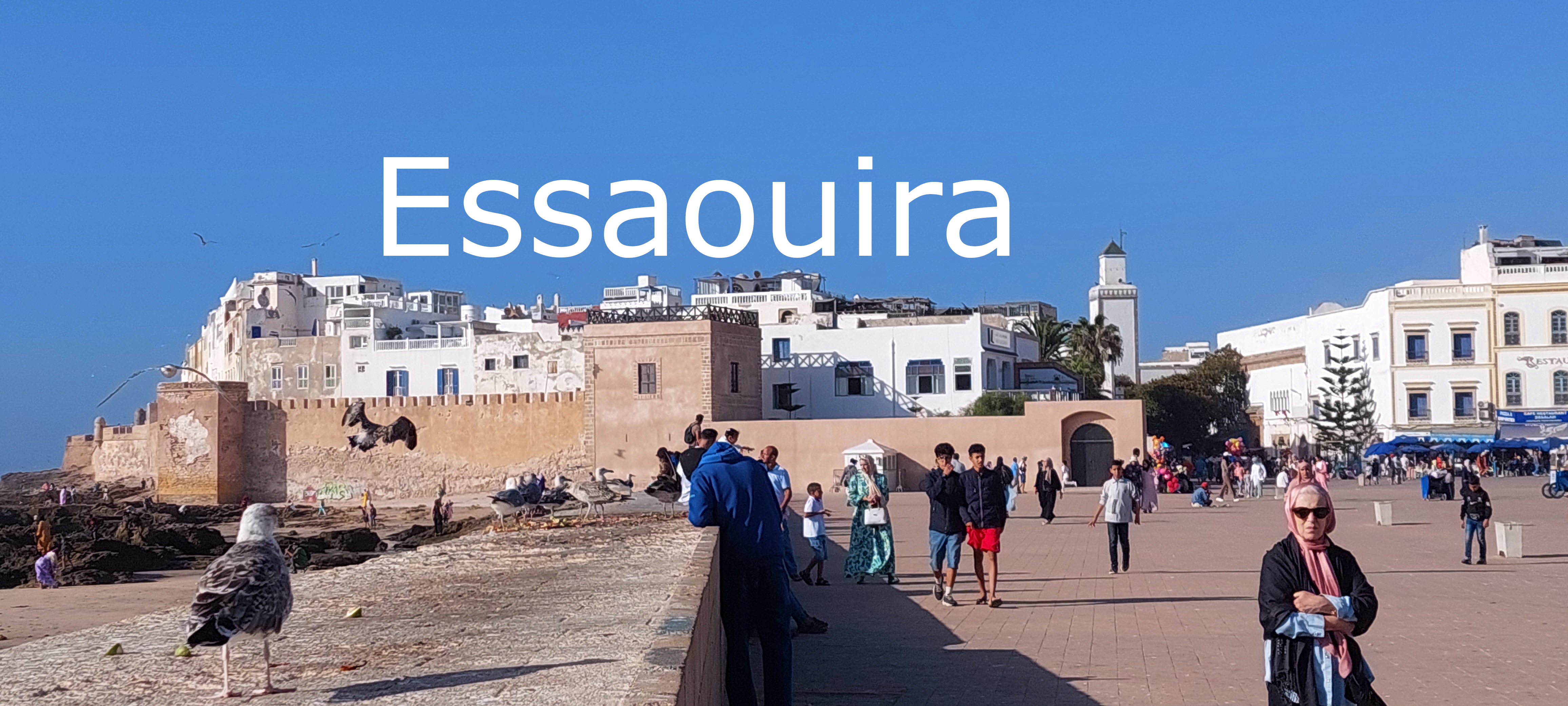 Essaouira; city walls; Morocco; travel